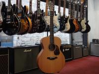 FURCH GUITARS BLUE - G-CM