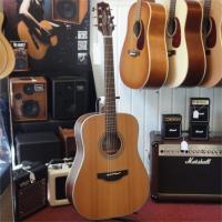 TAKAMINE GD20NS