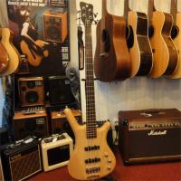 WARWICK WPS 1244 PNA