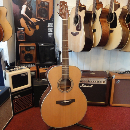 TAKAMINE GN20NS