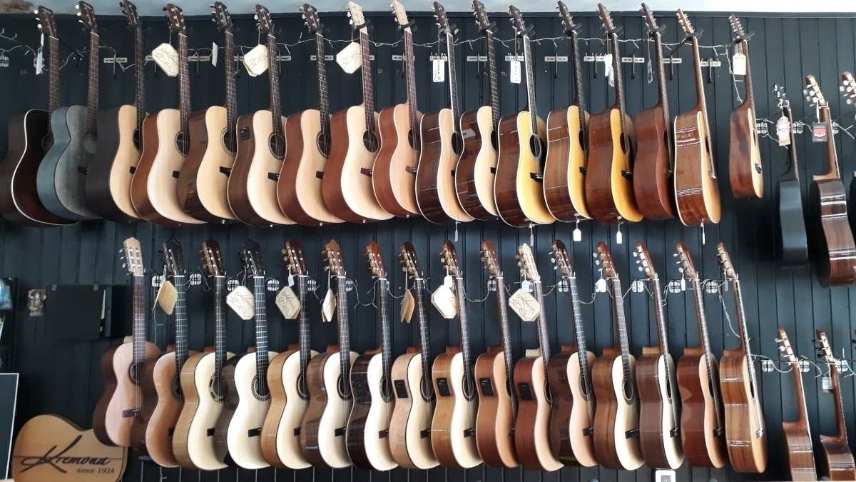 Spécialiste des guitares acoustiques