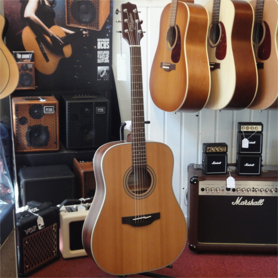 TAKAMINE GD20NS